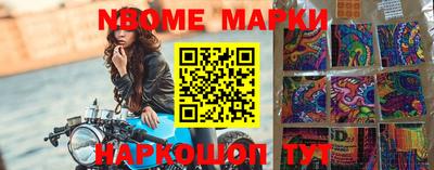 дурь Сланцы