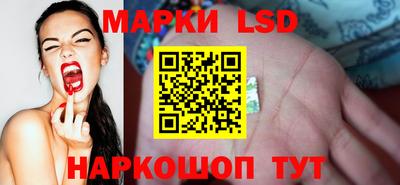 дурь Сланцы