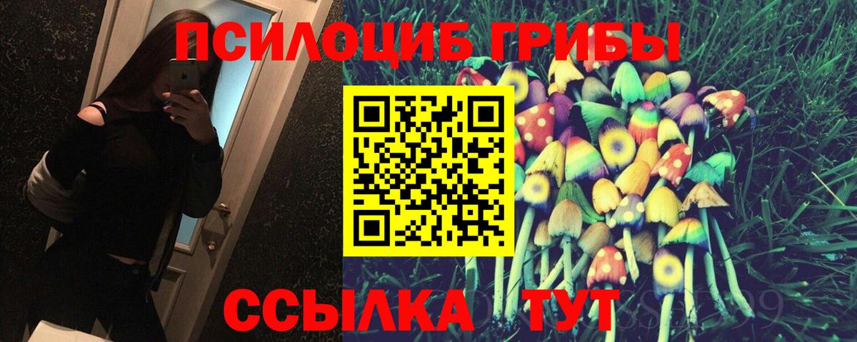 Новотроицк  Псилоцибиновые грибы Psilocybine cubensis  Вход с VPN  Псилоцибиновые грибы прущие грибы 