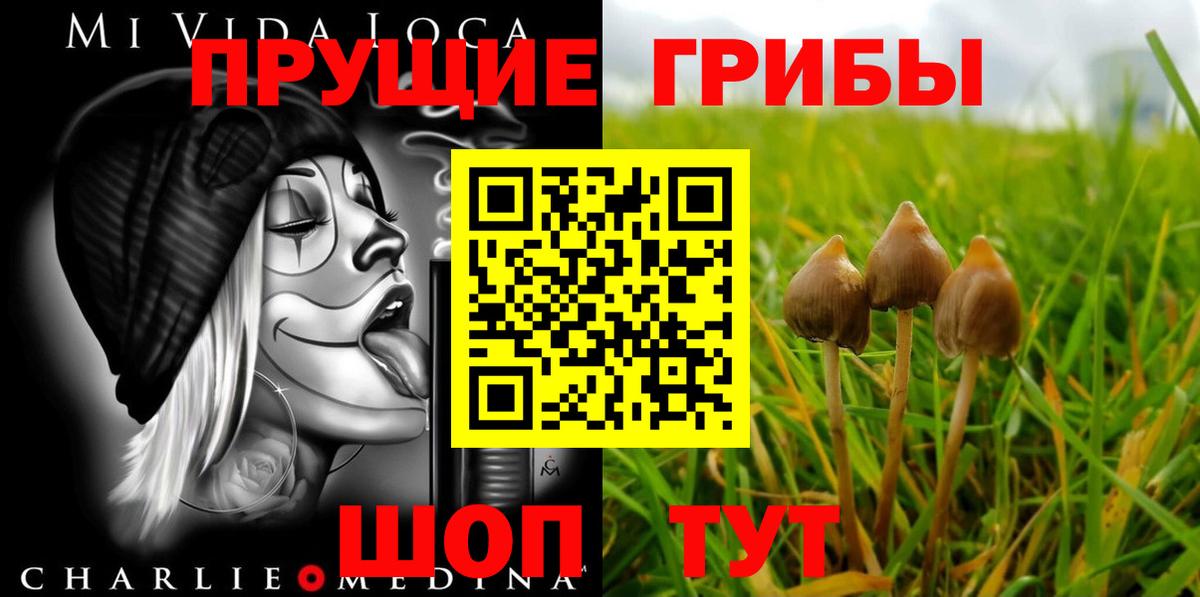 Галлюциногенные грибы GOLDEN TEACHER Новотроицк